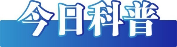 今日辟谣（2025年8月5日）